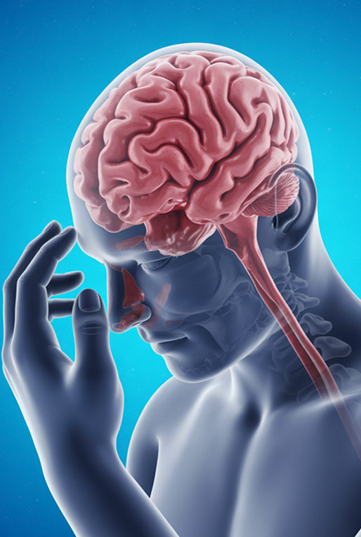 Tipos de Lesiones Cerebrales Traumáticas