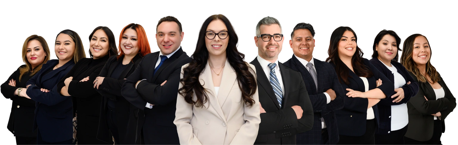 Abogados especializados en Mordidas de Perro