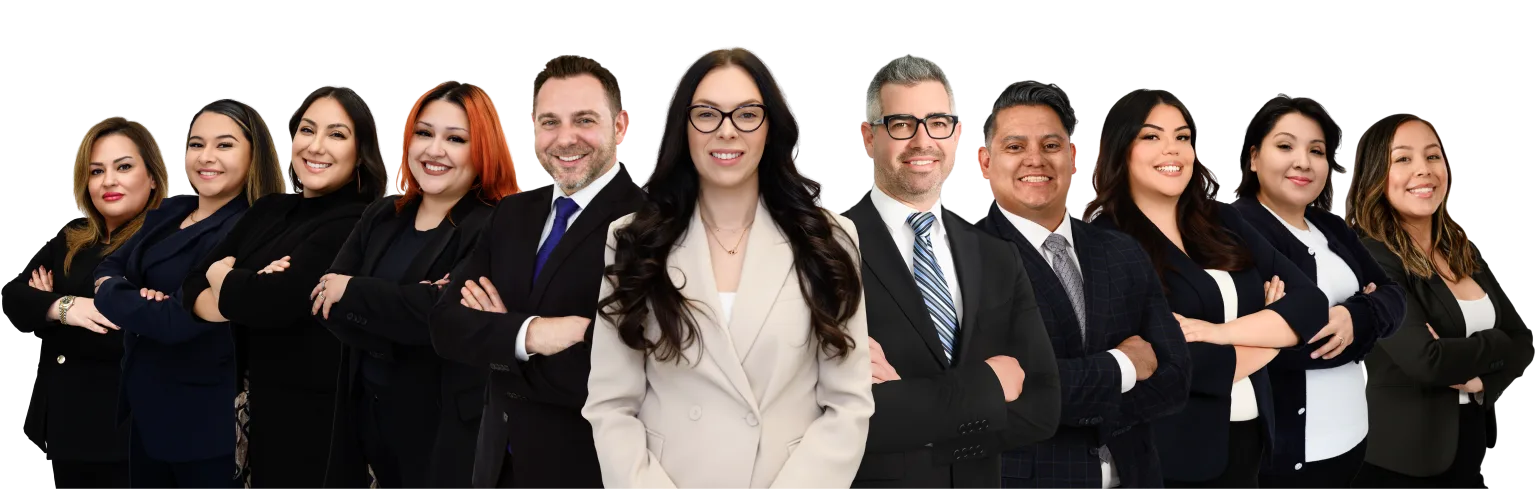 Abogados especializados en Mordidas de Perro