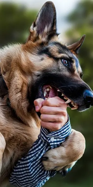 Personal Injury Cases We Handle in Baldwin Park